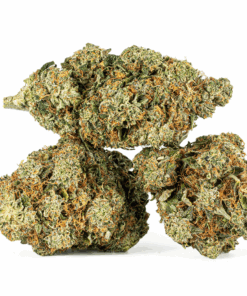 Motor Breath #15 (AAAA) Motor Breath #15 (AAAA)