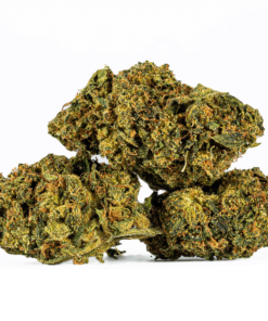 Sour Tangie (AA) Sour Tangie (AA)