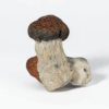 Blue Pulaski Mushrooms Blue Pulaski Mushrooms