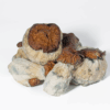 Bluey Vuitton Mushrooms Bluey Vuitton Mushrooms