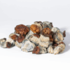 B+ Mushrooms B+ Mushrooms