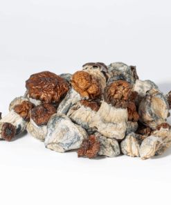 B+ Mushrooms