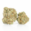 Blackberry x Blueberry (AA+) Blackberry x Blueberry (AA+)
