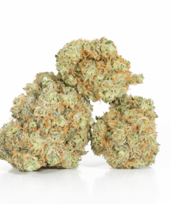 Blackberry x Blueberry (AA+) Blackberry x Blueberry (AA+)