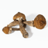 Super Thai Mushrooms Super Thai Mushrooms