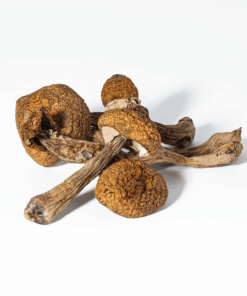 Super Thai Mushrooms Super Thai Mushrooms