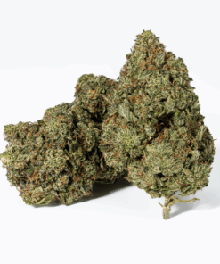 Champagne Pink (AAAA)