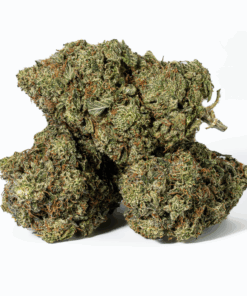 Champagne Pink (AAAA)