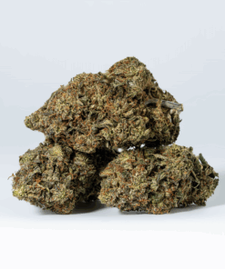 Platinum Glue (AAA+) Platinum Glue (AAA+)