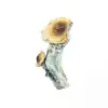 A-One Mushrooms - McKennaii A-One Mushrooms - McKennaii