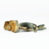 A-One Mushrooms - Golden Teacher A-One Mushrooms - Golden Teacher