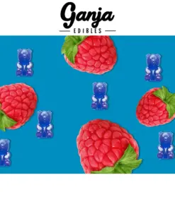 Ganja Bears (150mg THC) - Blue Raspberry Ganja Bears (150mg THC) - Blue Raspberry