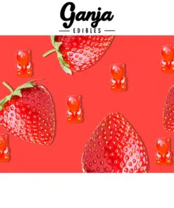 Ganja Bears (150mg THC) - Strawberry Ganja Bears (150mg THC) - Strawberry
