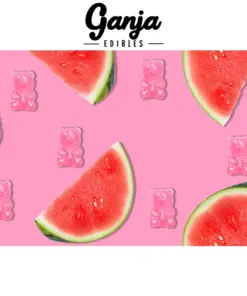 Ganja Bears (150mg THC) - Watermelon Ganja Bears (150mg THC) - Watermelon