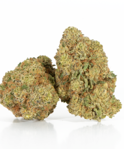 Gelato (AAA+) Gelato (AAA+)