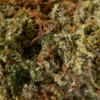 Gelato (AAA+) - Image 5