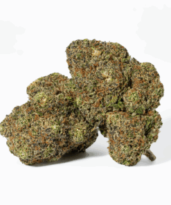 Purple Punch (AAA+) Purple Punch (AAA+)