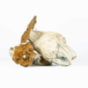 A-One Mushrooms - Lucid Gates A-One Mushrooms - Lucid Gates