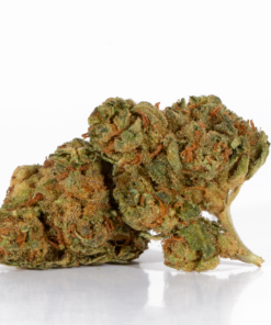 Maui Mango Diesel (AA)