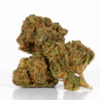 Maui Mango Diesel (AA) Maui Mango Diesel (AA)