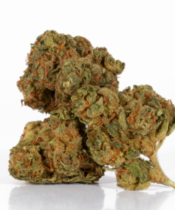 Maui Mango Diesel (AA)