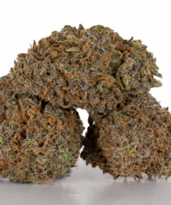 Mimosa (AAA) Mimosa (AAA)