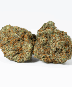 Blackberry Headband (AAA+) Blackberry Headband (AAA+)