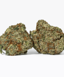 Cherry Dosi (AAA+) Cherry Dosi (AAA+)