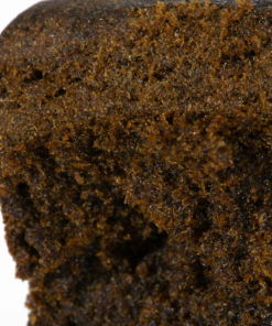 Palm Tree Hash Palm Tree Hash
