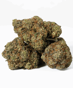 Gorilla Pink (AAA+) Gorilla Pink (AAA+)