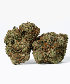 Rockstar Tuna (AAA+) Rockstar Tuna (AAA+)