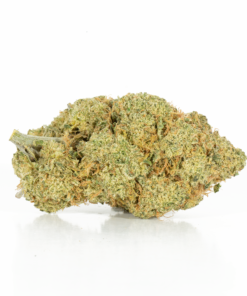 Rocket Fuel (AAA+) Rocket Fuel (AAA+)