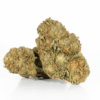 Romulan (AA) Romulan (AA)