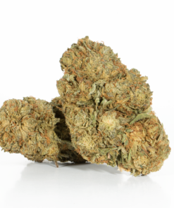 Romulan (AA) Romulan (AA)