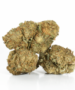 Romulan (AA) Romulan (AA)