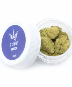 Scout - Kief (1g) - Barbara Bud Blonde