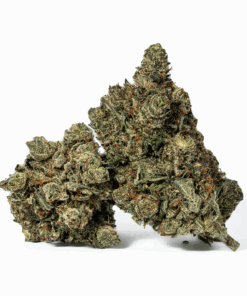 Purple Aurora (AAA+) Purple Aurora (AAA+)