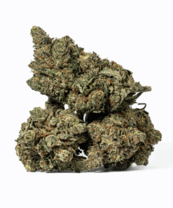 Purple Aurora (AAA+) Purple Aurora (AAA+)