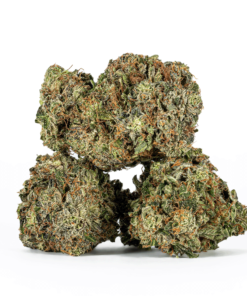 Ultra Pink (AAA+) Ultra Pink (AAA+)