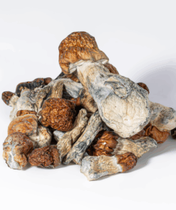 Vietnamese Mushrooms Vietnamese Mushrooms