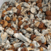 Vietnamese Mushrooms Vietnamese Mushrooms