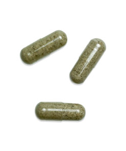 Shroomies Capsules - Thinkcaps (100mg) Shroomies Capsules - Thinkcaps (100mg)