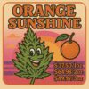 Orange Sunshine (Promo) Orange Sunshine (Promo)
