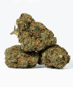 Ayahuasca Purple (AA+)