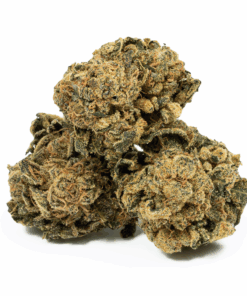 Lemon Skunk (AA) Lemon Skunk (AA)
