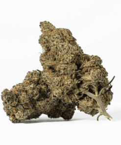Nuken (AA+) Nuken (AA+)