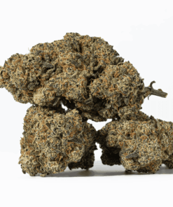 Nuken (AA+) Nuken (AA+)