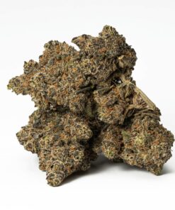 Purple Wookie (AAA+) Purple Wookie (AAA+)
