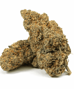 Cherry Pie (AA+) Cherry Pie (AA+)