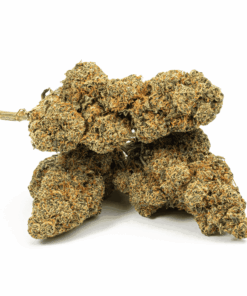 Cherry Pie (AA+) Cherry Pie (AA+)